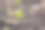 第一个春天在地上发芽了图片下载