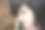 朋克摇滚女孩，黑头发，画眼线的年轻人，特写镜头图片下载