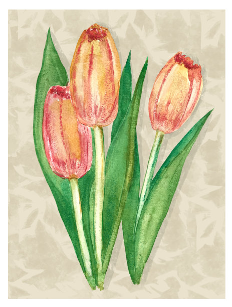 水彩插图花束郁金香为明信片或邀请图片下载