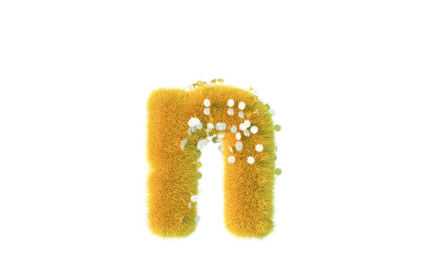 字母n与黄色的草和花小写的白色背景图片下载