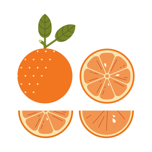 含有维生素载体的橙子图片下载
