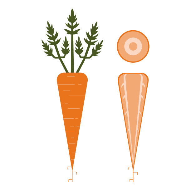 胡萝卜平面样式矢量图片下载