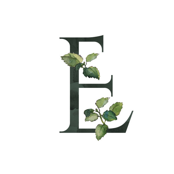 黑色字母E符号与绿色的梅利莎细枝图片下载