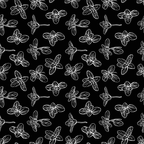 罗勒无缝模式。意大利草药图片下载