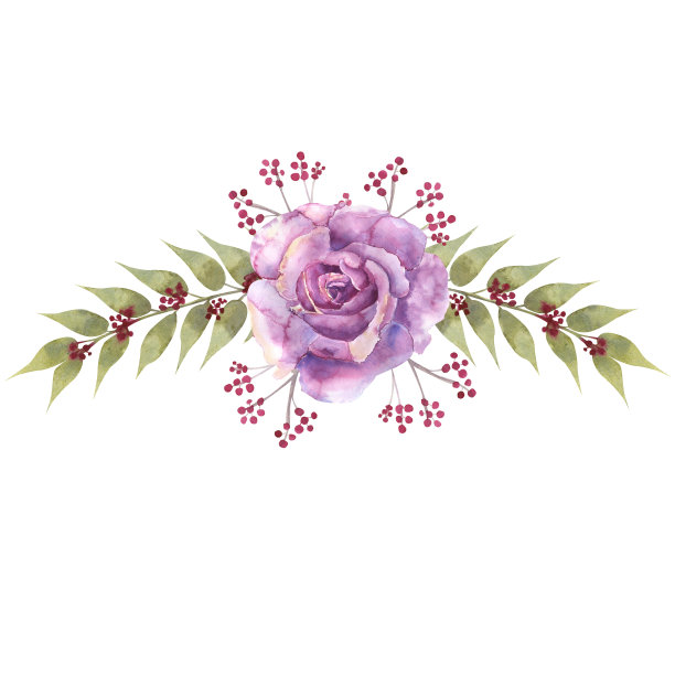 花束与紫色的玫瑰和银莲花在一个白色孤立的背景。手绘水彩插图图片下载