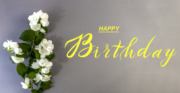 明信片，网络横幅，平躺着生日祝福，上面写着:生日快乐，美丽的白色茉莉花图片下载