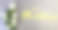 明信片，网络横幅，平躺着生日祝福，上面写着:生日快乐，美丽的白色茉莉花图片下载