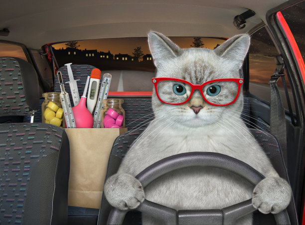 医生在他的车里带着药图片下载