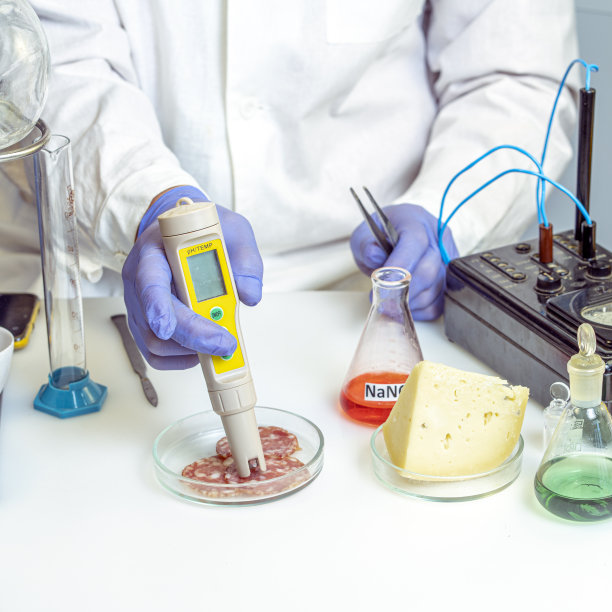 实验室食品安全检验员。健康食品的概念。图片下载