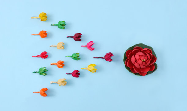 人群为了一个共同的目标跟随领导者。图片下载