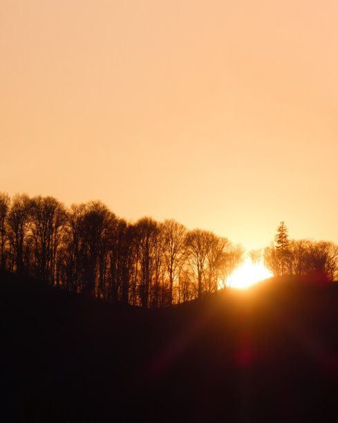 美丽的日落日出太阳阳光明媚的春天落叶林。阳光阳光穿过森林景观的树林。明暗复制空间图片下载