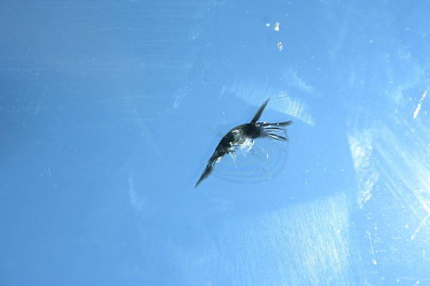 汽车挡风玻璃破碎，背景模糊图片下载