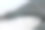 灰色背景下，一个黑人老太太的手提包和一些药品。一件女人的皮衣配件里洒出了各种麦卡乐氏药物。有选择性的重点图片下载