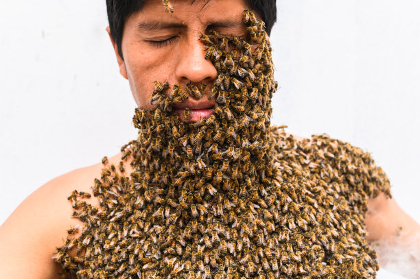 养蜂人满身蜜蜂，养蜂治疗。图片下载