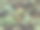 水彩画彩色棕榈树无缝图案背景。水彩手绘插图热带异国情调的树叶印花壁纸，纺织品夏威夷阿罗哈丛林夏季图案。图片下载