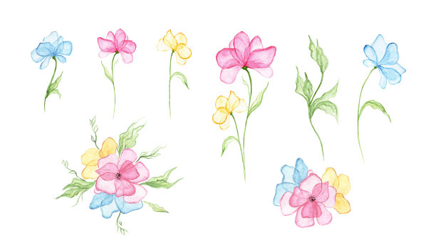 花和叶子的一组植物，孤立在白色背景上。娇嫩的蓝色、粉色和黄色花朵。水彩插图。花的设计元素。图片下载