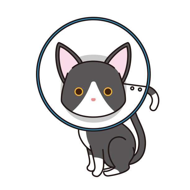 戴着伊丽莎白时代项圈的黑猫图片下载