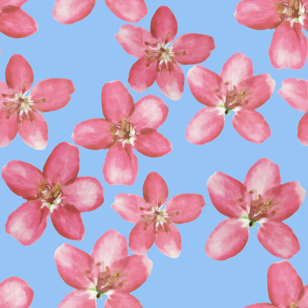 苹果的花。插图，花的纹理。连续复制的无缝模式。花卉背景，照片拼贴纺织品，棉织物。墙纸，封面，打印图片下载