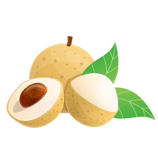 创意手绘卡通白露龙眼素材图片下载