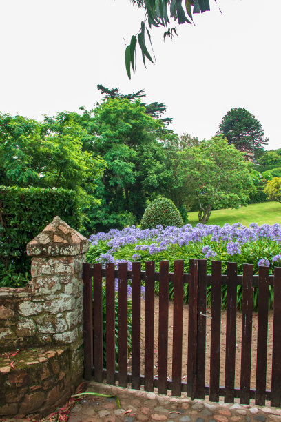 入口大门由木头制成，背景是巨大的琼浆花图片下载