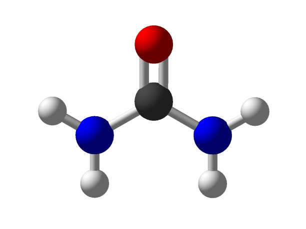 尿素三维分子结构孤立在白色背景化学原子分子上图片下载
