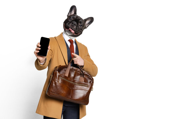 当代创意艺术拼贴与青年商人为首的狗的头。想法、灵感、情感。超现实主义、商业概念图片下载