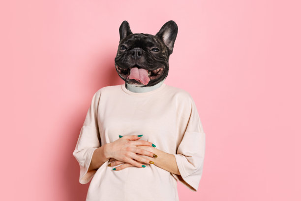 当代创意艺术拼贴与年轻女子为首的狗的头。想法、灵感、情感。超现实主义图片下载