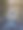 湖中的鸟图片下载