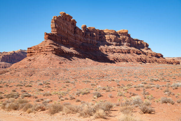 红色沙漠景观的鼠尾草，仙人掌，岩石，砂与大型砂岩地质构造图片下载