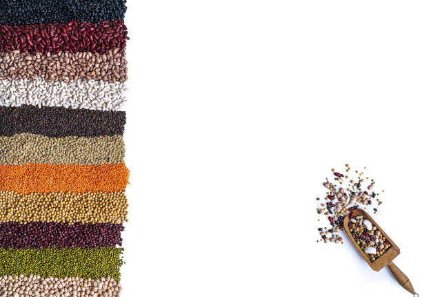 在空白的复印空间里，一行一行地摆放着各种各样的干豆科植物图片下载