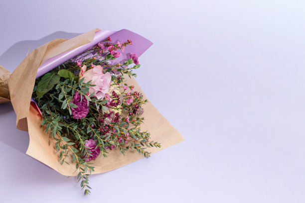 鲜花与盛开的玫瑰和绿色的树枝在柔和的紫色背景。最小的单色紫罗兰春夏系列。赋予开花概念与复制空间。图片下载