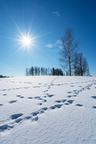 冬天的风景图片下载