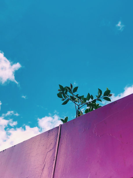 孩子们图片下载