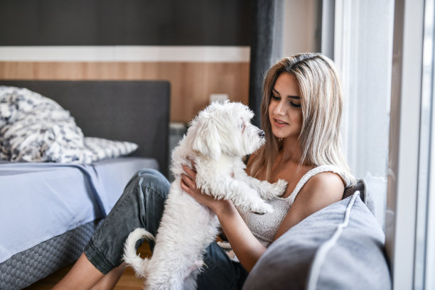 女美人抱着狗，靠在枕头上图片下载