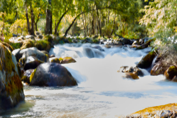 散焦的山河在树木和石头之间流动的照片图片下载