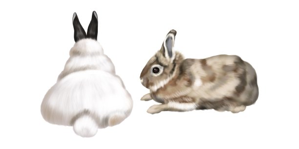 一组逼真的兔子。在白色背景上彩色兔子的水彩插图图片下载