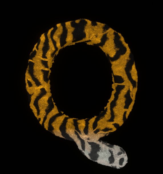 毛茸茸的老虎主题字体字母Q图片下载