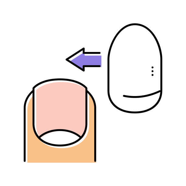 丙烯酸指甲颜色图标矢量插图图片下载