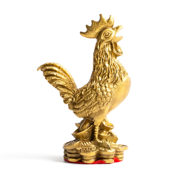 白色上的金鸡图片下载