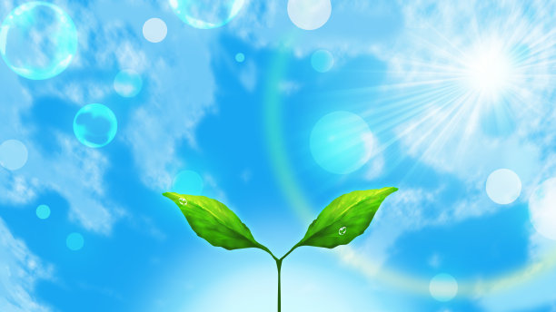 鲜绿的图片下载