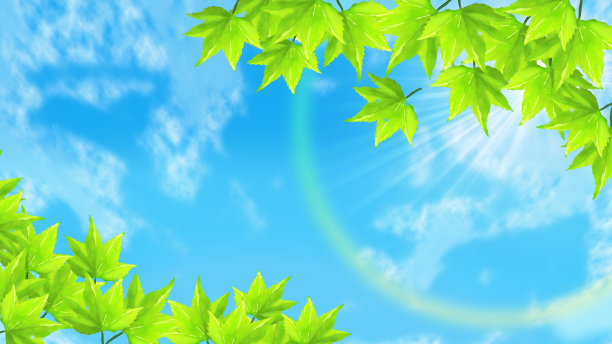 鲜绿的图片下载