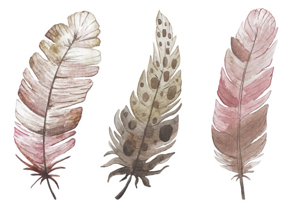 集水彩鸟羽毛在波西米亚粉棕色的颜色，向量孤立图片下载