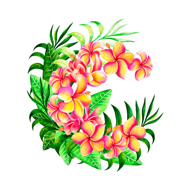 热带花卉图片下载