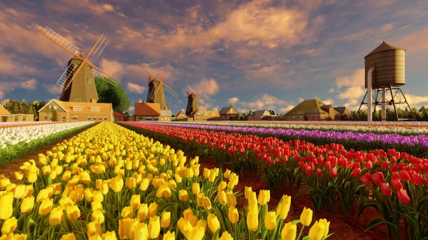 风车与彩色郁金香排在前面，3d插图图片下载