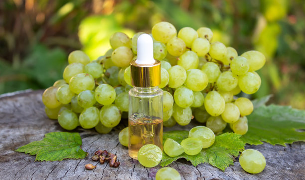 葡萄籽油玻璃罐和新鲜葡萄，用于水疗和身体护理。概念水疗、生物、生态产品。图片下载