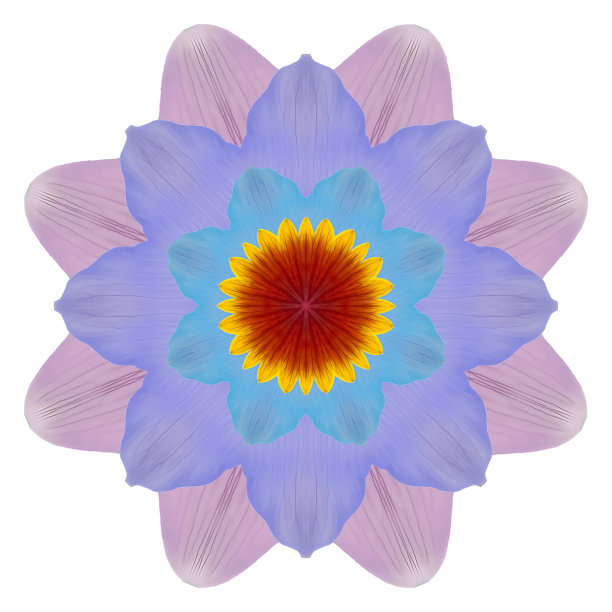 曼陀罗由压干的花、花瓣制成。曼荼罗是佛教、印度教、瑜伽的象征。装饰曼陀罗与图案花卉元素在东方风格的放松和冥想图片下载