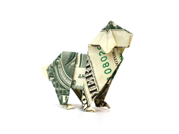 折纸美元的狗图片下载