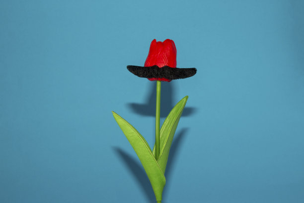 红花配八字胡，创意花概念配八字胡，时尚设计图片下载