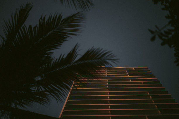 棕榈绿城市环境图片下载