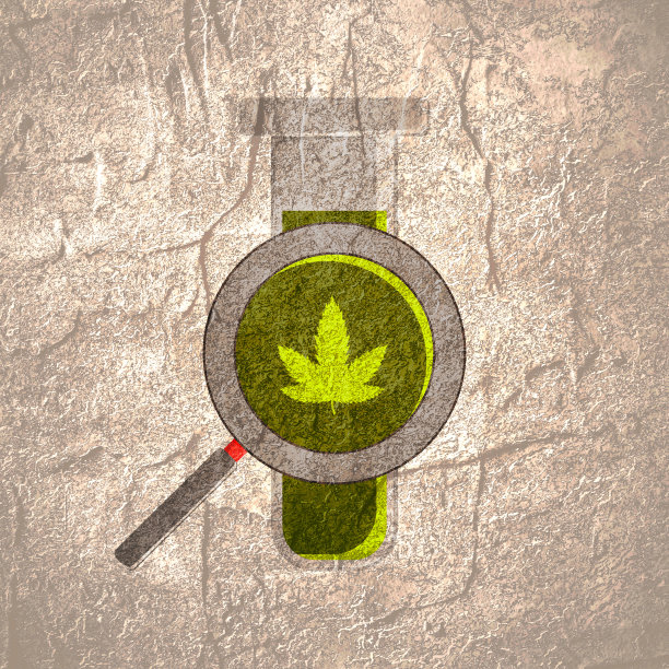 带大麻叶和放大镜的实验室测试浴缸。图片下载